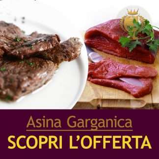Asina Premium