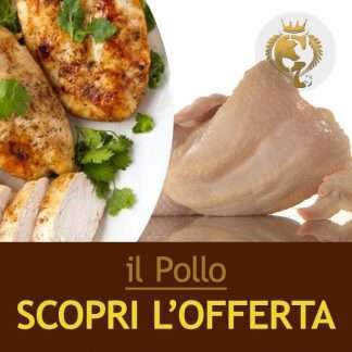il pollo